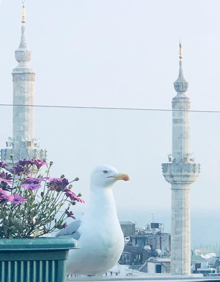 فندق جراند واشنطن اسطنبول المظهر الخارجي الصورة